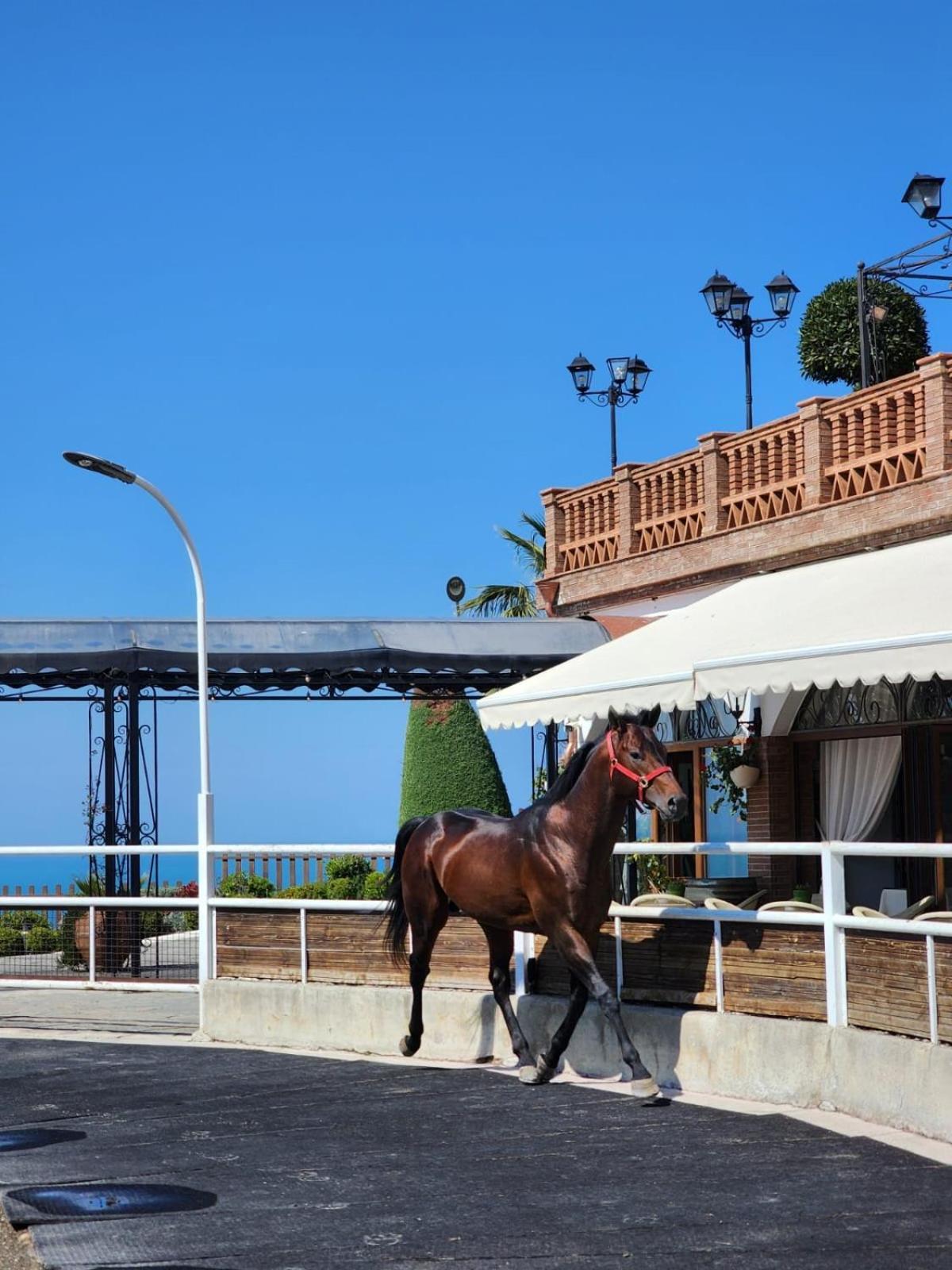 Agroturizem Kodra E Kuajve Resort 4*